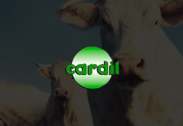 Cardil Productos Veterinarios